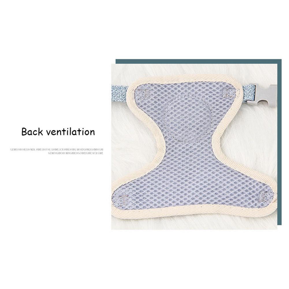 Cute Small Pet Vest Harness with Leash – Walking Harness for Dogs, Cats & Bunnies