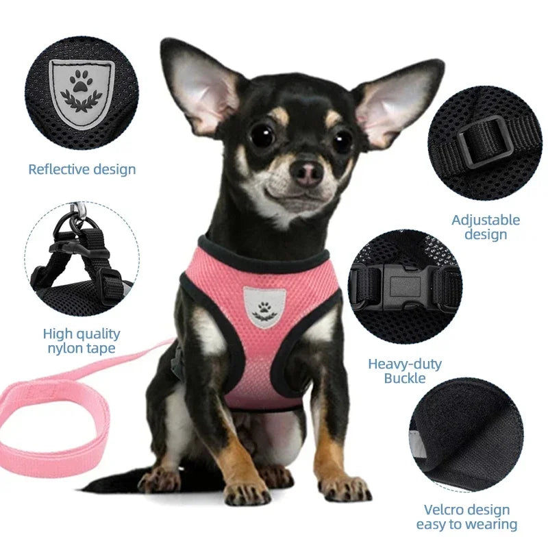 Pet Pulse Point® Instantly Stop Leash Pulling Even If Your Dog Never Listens!