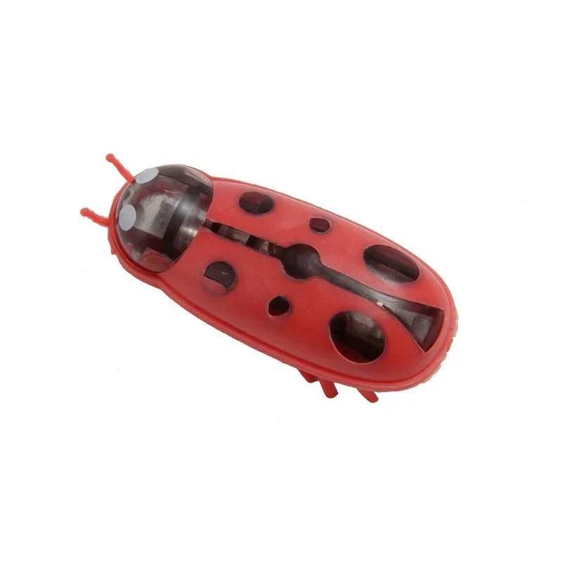 Automatic Electric Bug Cat Toy – Interactive Moving Beetle Pet Toy