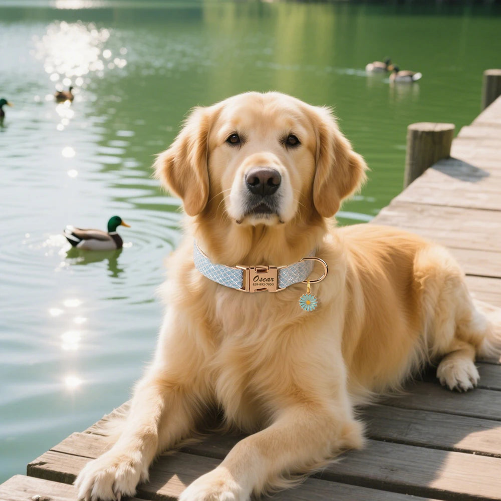 Personalized Bling Dog Collar – Engraved Nylon Puppy ID Collar with Flower Tag