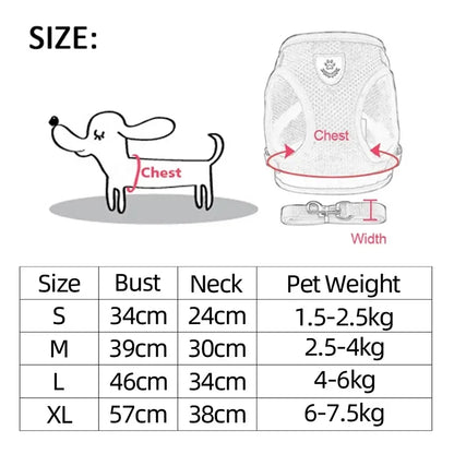 No Pull Dog & Cat Harness with Leash – Adjustable & Breathable