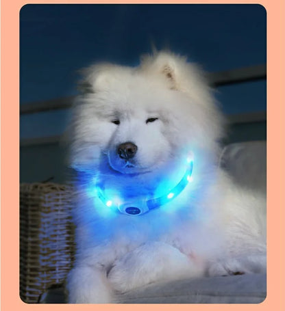 Premium LED Dog Collar – Night Safety, Waterproof & Glowing