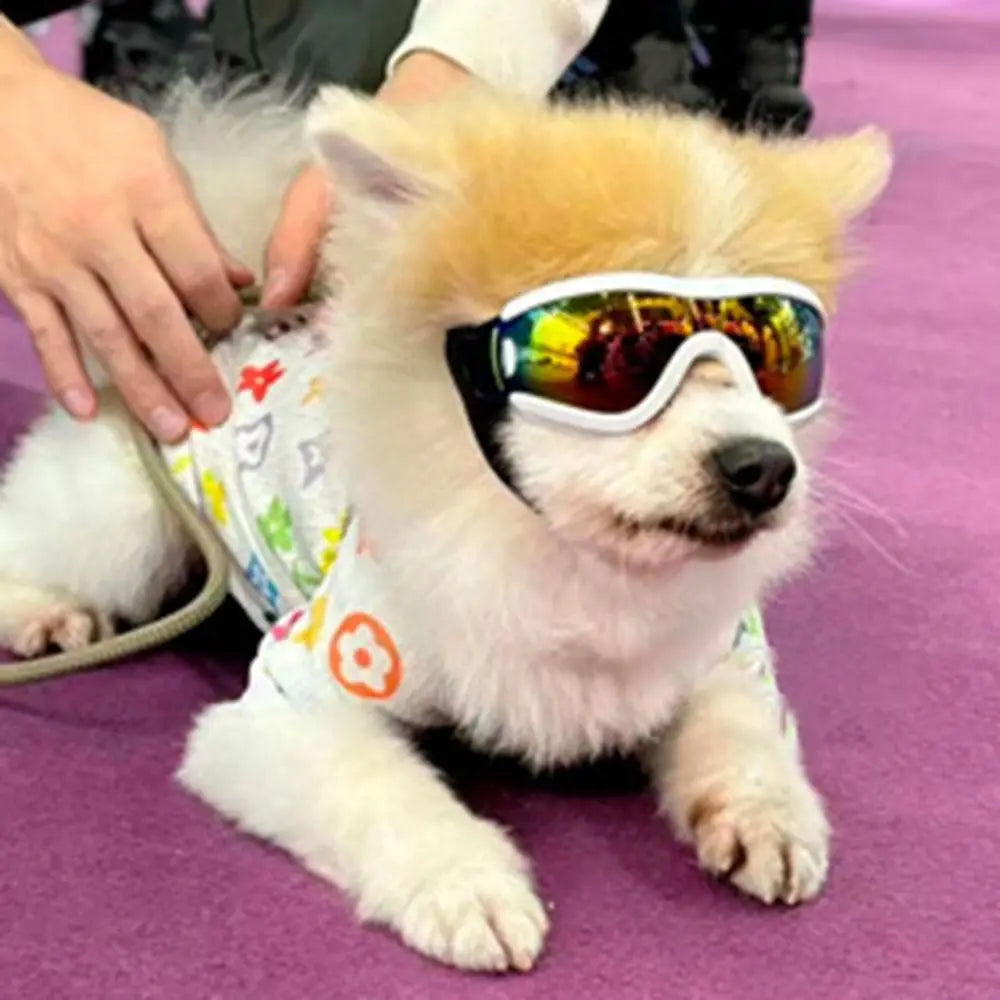 Windproof UV Dog Sunglasses – Adjustable Anti-Fog Pet Goggles for Outdoor Travel