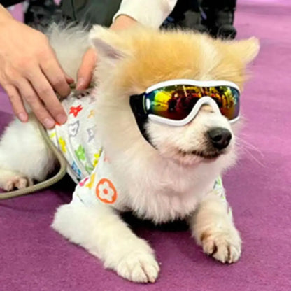 Windproof UV Dog Sunglasses – Adjustable Anti-Fog Pet Goggles for Outdoor Travel