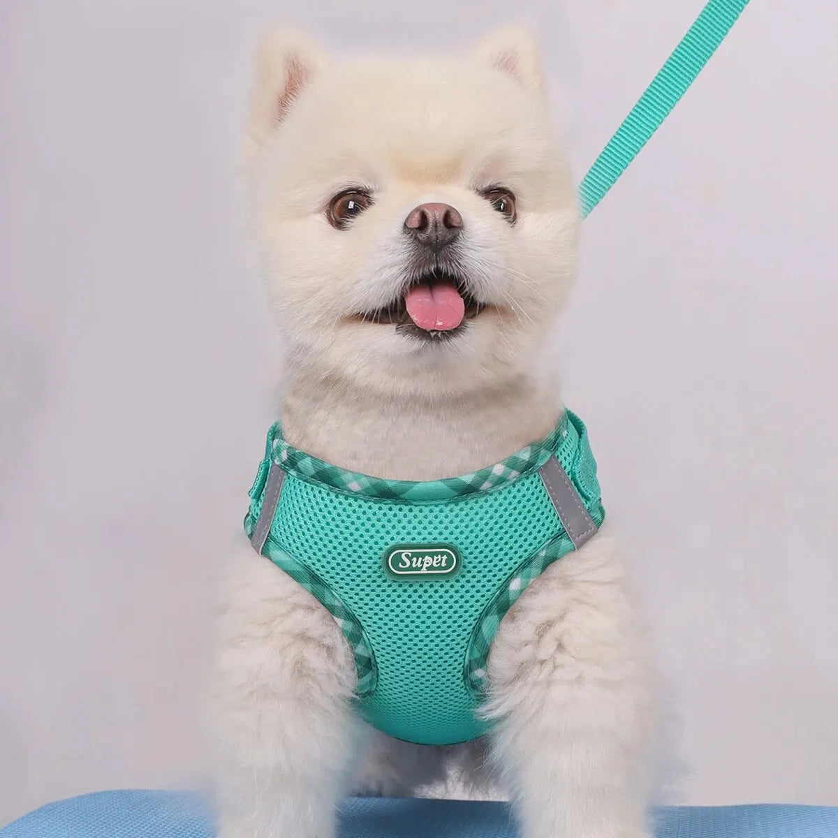 Adjustable Anti-Pull Dog Harness – Easy Control Pet Harness