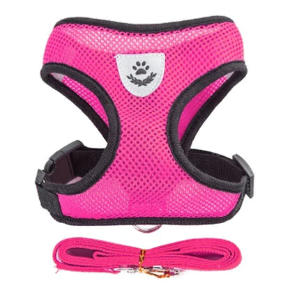 No Pull Dog & Cat Harness with Leash – Adjustable & Breathable