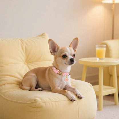 Personalized Bling Dog Collar – Engraved Nylon Puppy ID Collar with Flower Tag