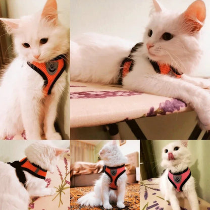 No Pull Dog & Cat Harness with Leash – Adjustable & Breathable