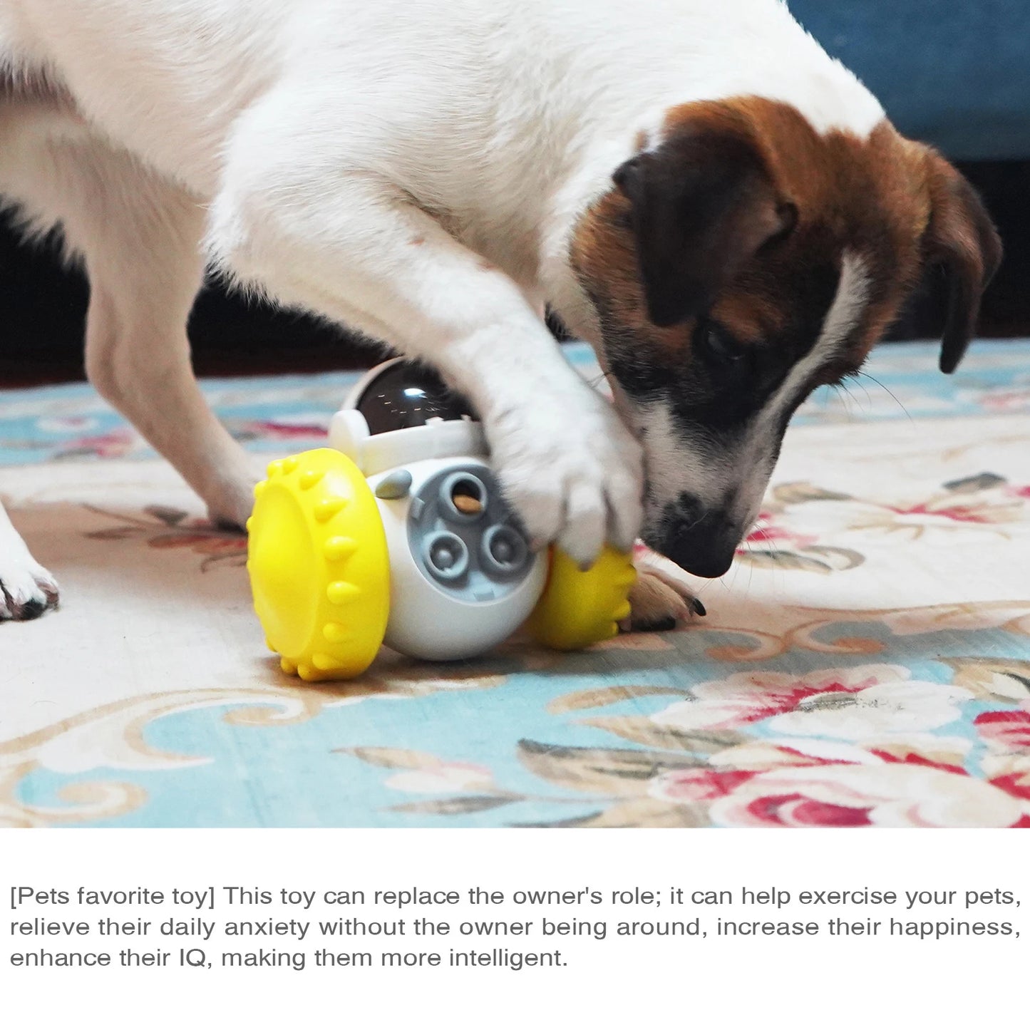 Gravity Balance Car Slow Feeder – Interactive Treat Puzzle Toy for Dogs & Cats