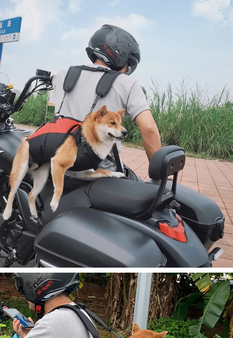 Dog Recovery Support Harness – Adjustable Rear Leg Lift Sling for Injury & Rehabilitation