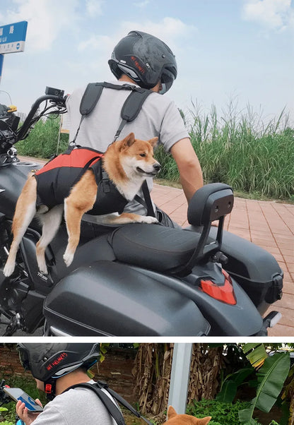 Dog Recovery Support Harness – Adjustable Rear Leg Lift Sling for Injury & Rehabilitation