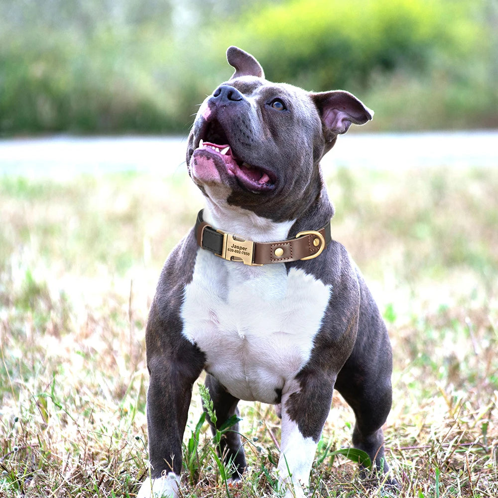 Personalized PU Leather Dog Collar