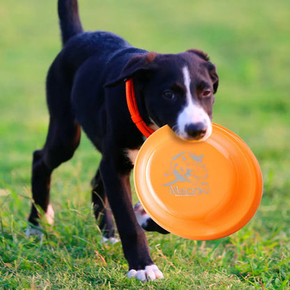 Lightweight Dog Training Disc – Durable Easy-Catch Puppy & Dog Toy
