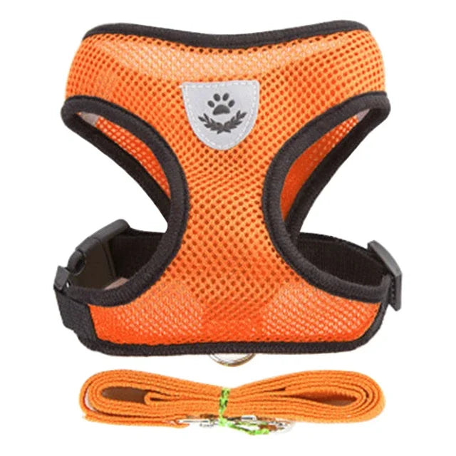 No Pull Dog & Cat Harness with Leash – Adjustable & Breathable