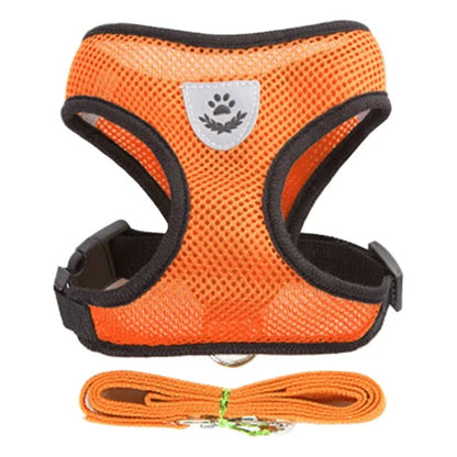 No Pull Dog & Cat Harness with Leash – Adjustable & Breathable