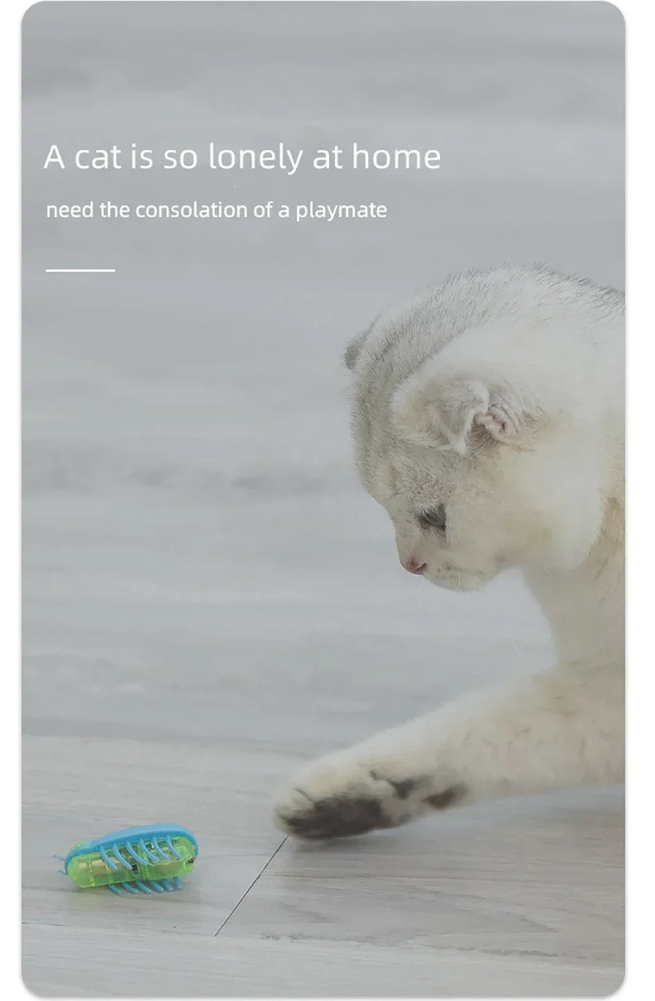 Automatic Electric Bug Cat Toy – Interactive Moving Beetle Pet Toy