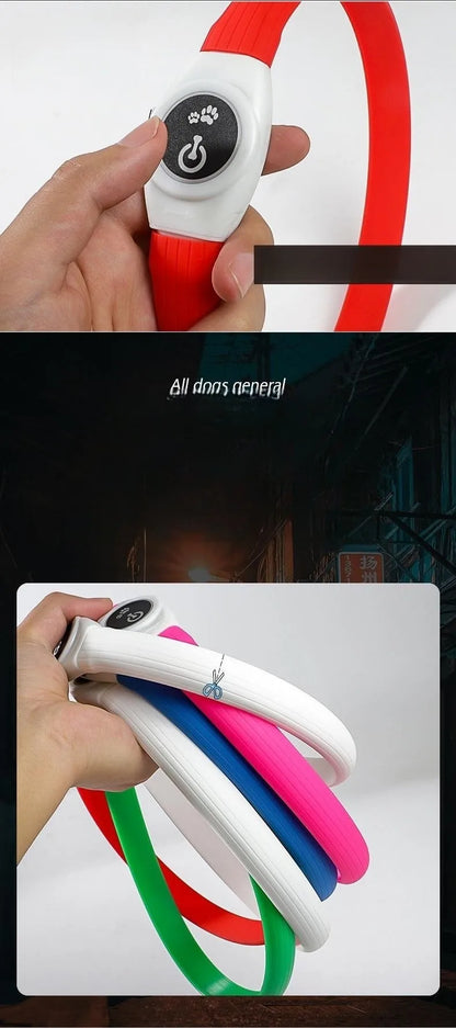 Premium LED Dog Collar – Night Safety, Waterproof & Glowing