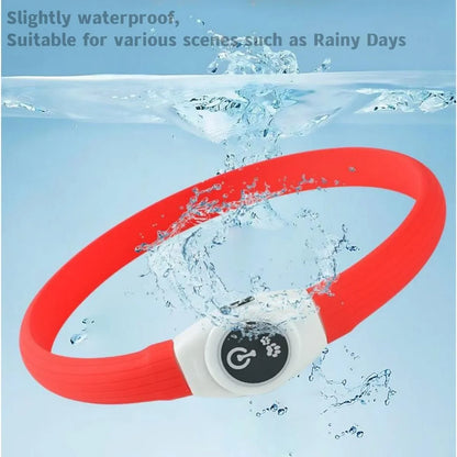 Premium LED Dog Collar – Night Safety, Waterproof & Glowing