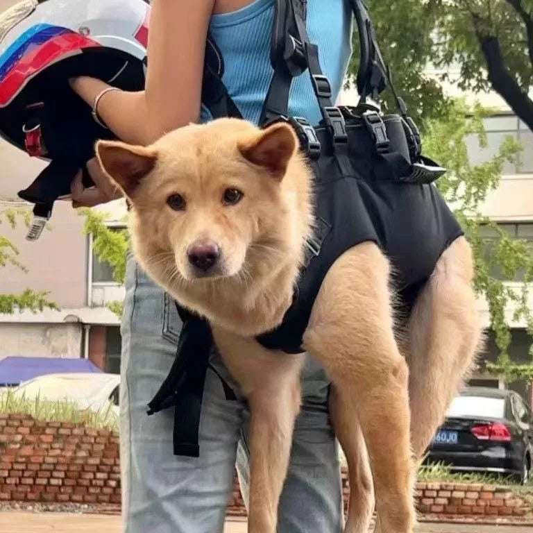 Dog Recovery Support Harness – Adjustable Rear Leg Lift Sling for Injury & Rehabilitation