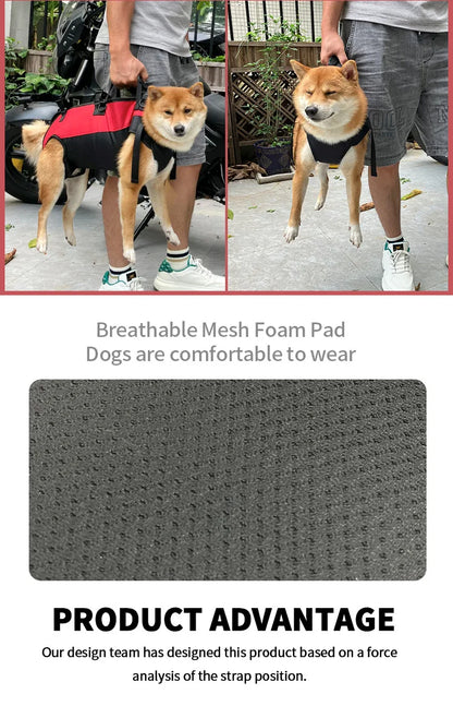 Dog Recovery Support Harness – Adjustable Rear Leg Lift Sling for Injury & Rehabilitation