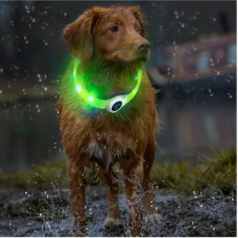Premium LED Dog Collar – Night Safety, Waterproof & Glowing