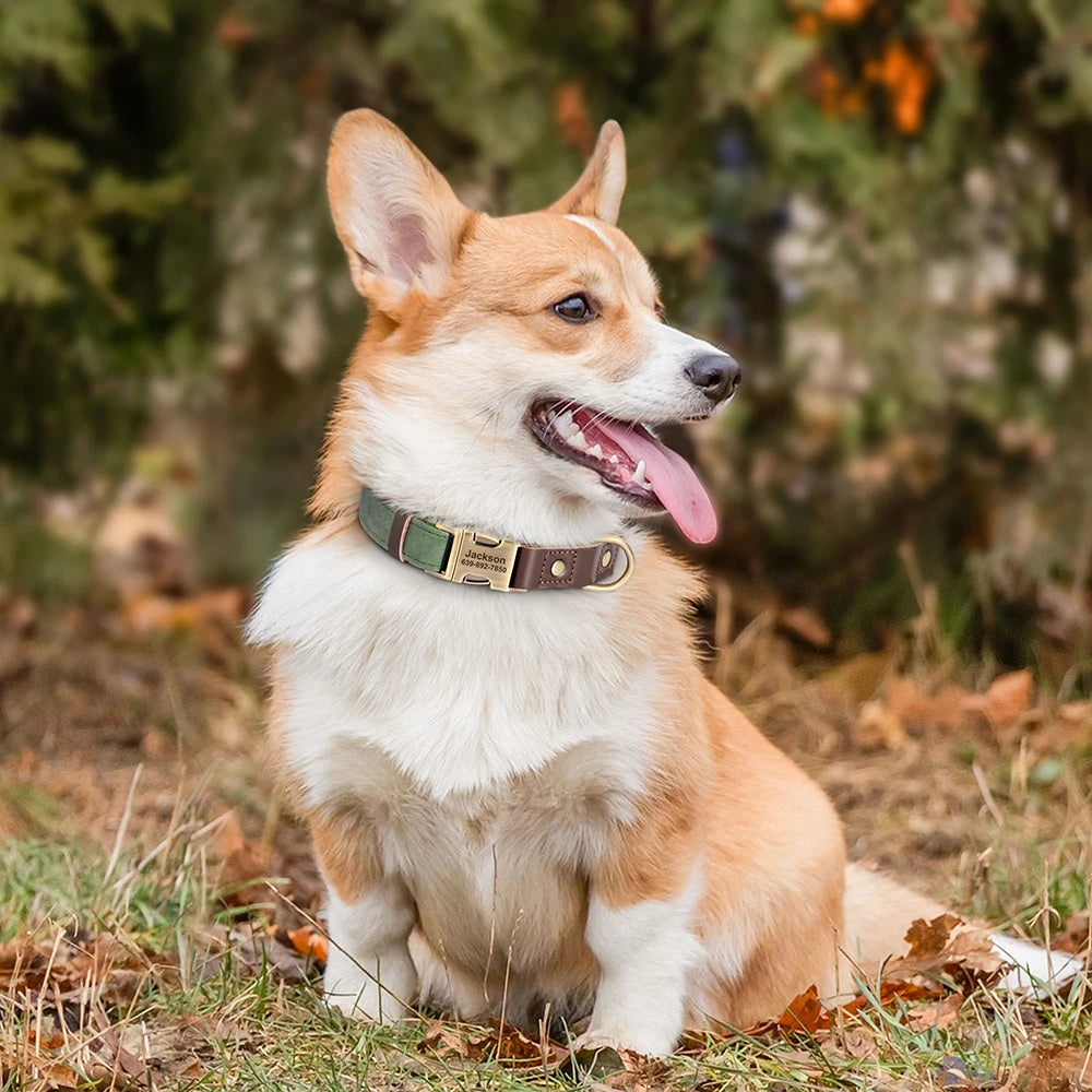 Personalized PU Leather Dog Collar