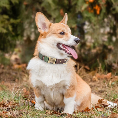 Personalized PU Leather Dog Collar