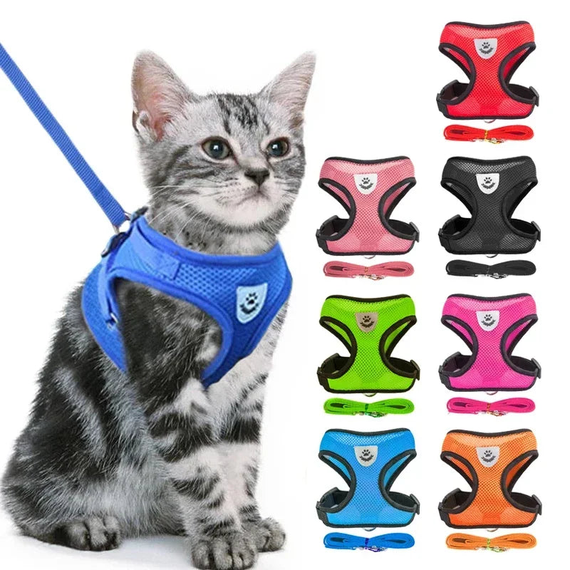 No Pull Dog & Cat Harness with Leash – Adjustable & Breathable