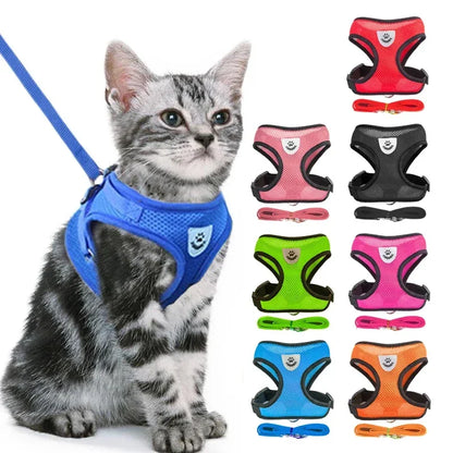 No Pull Dog & Cat Harness with Leash – Adjustable & Breathable
