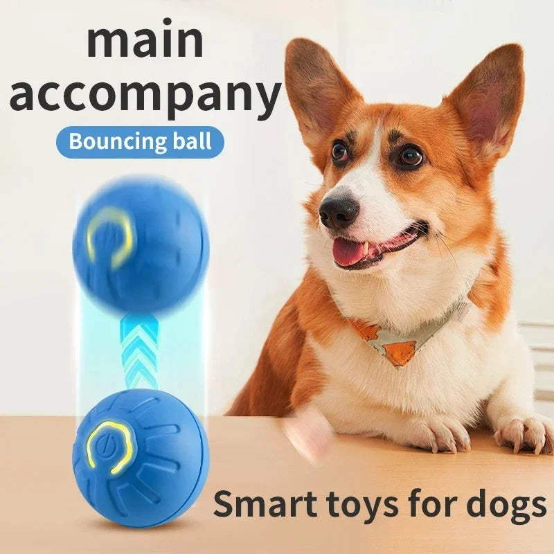 USB Rechargeable Smart Pet Toy Ball – Automatic Moving Interactive Dog & Cat Toy