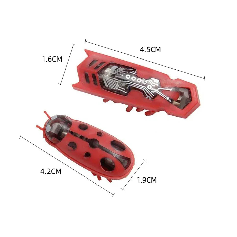 Automatic Electric Bug Cat Toy – Interactive Moving Beetle Pet Toy