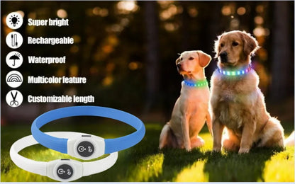 Premium LED Dog Collar – Night Safety, Waterproof & Glowing