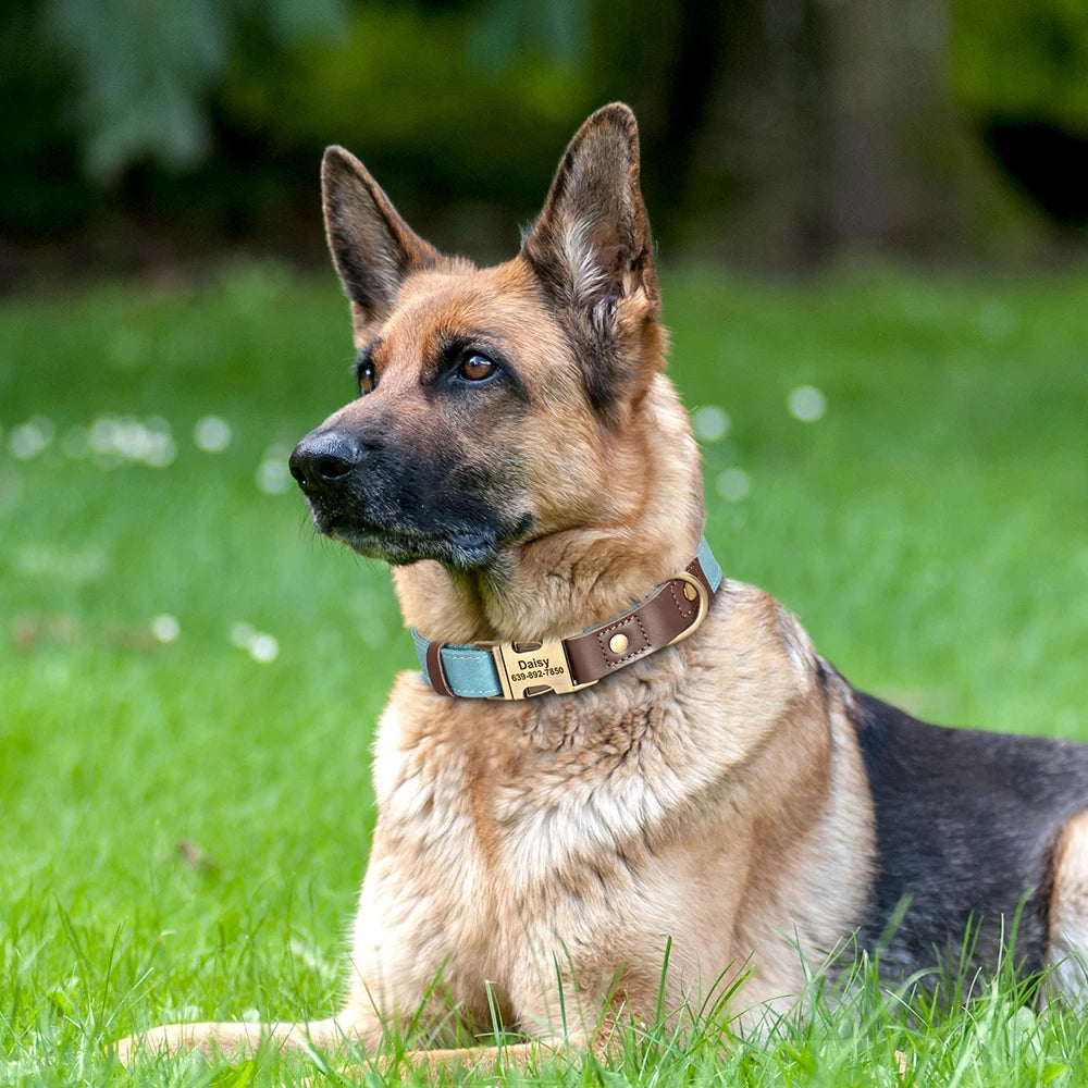 Personalized PU Leather Dog Collar