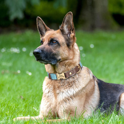 Personalized PU Leather Dog Collar