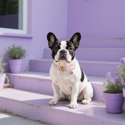 Personalized Bling Dog Collar – Engraved Nylon Puppy ID Collar with Flower Tag