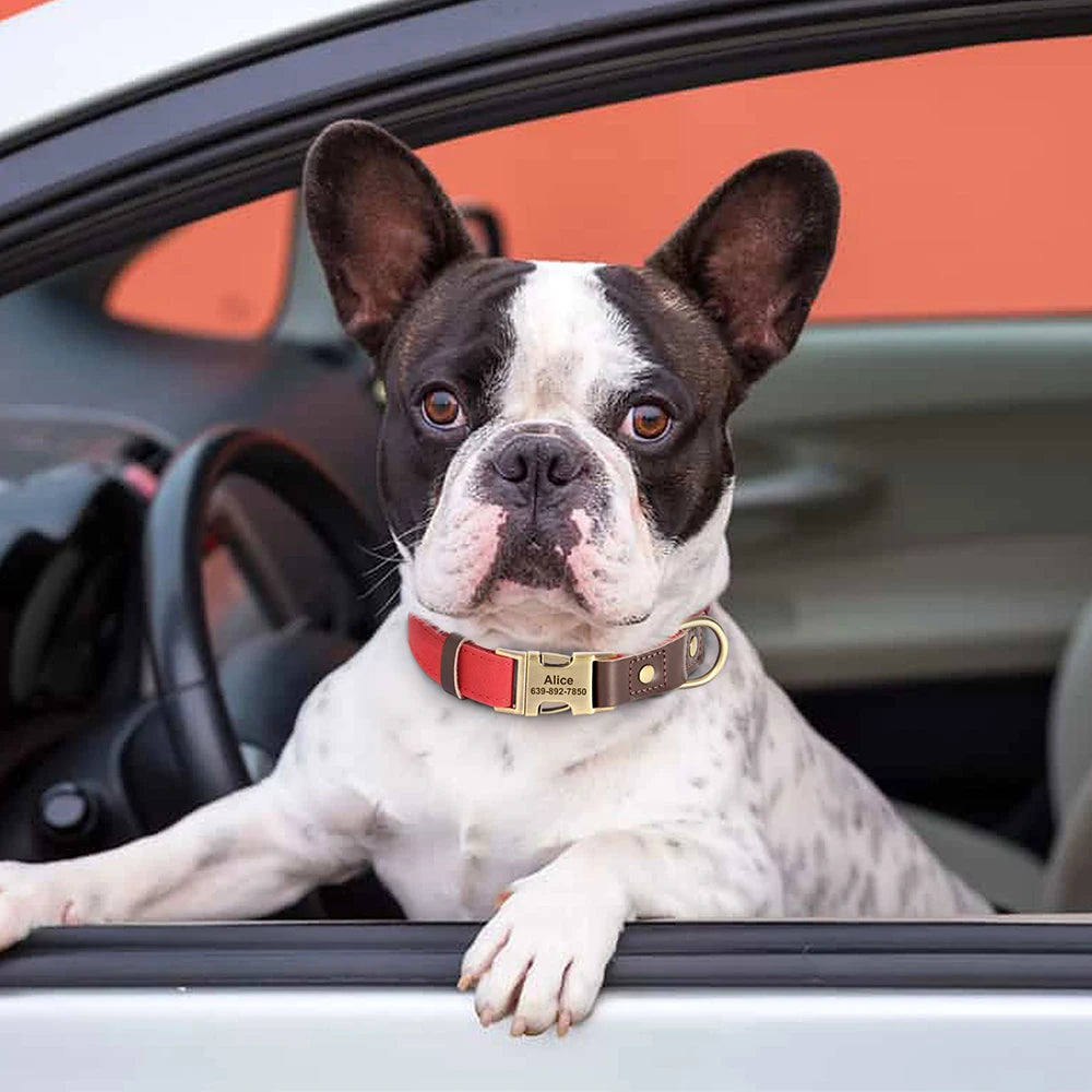 Personalized PU Leather Dog Collar