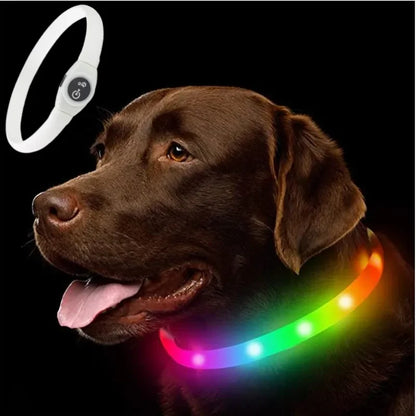 Premium LED Dog Collar – Night Safety, Waterproof & Glowing