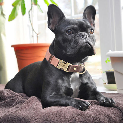 Personalized PU Leather Dog Collar