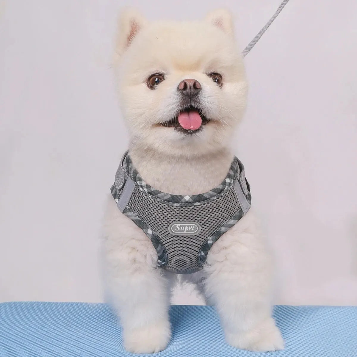 Adjustable Anti-Pull Dog Harness – Easy Control Pet Harness