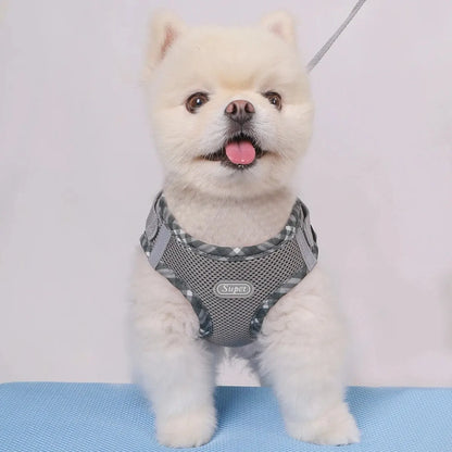 Adjustable Anti-Pull Dog Harness – Easy Control Pet Harness