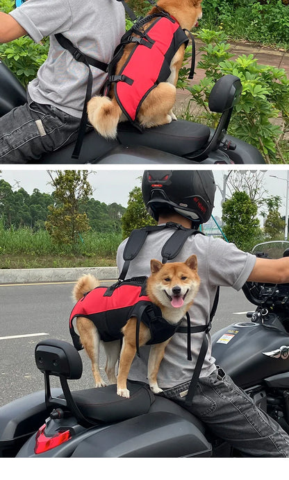 Dog Recovery Support Harness – Adjustable Rear Leg Lift Sling for Injury & Rehabilitation