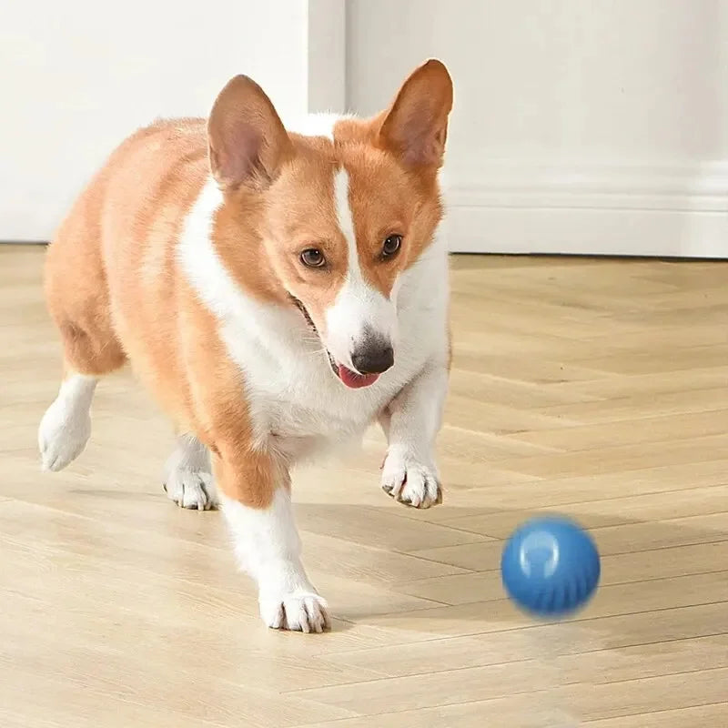 USB Rechargeable Smart Pet Toy Ball – Automatic Moving Interactive Dog & Cat Toy