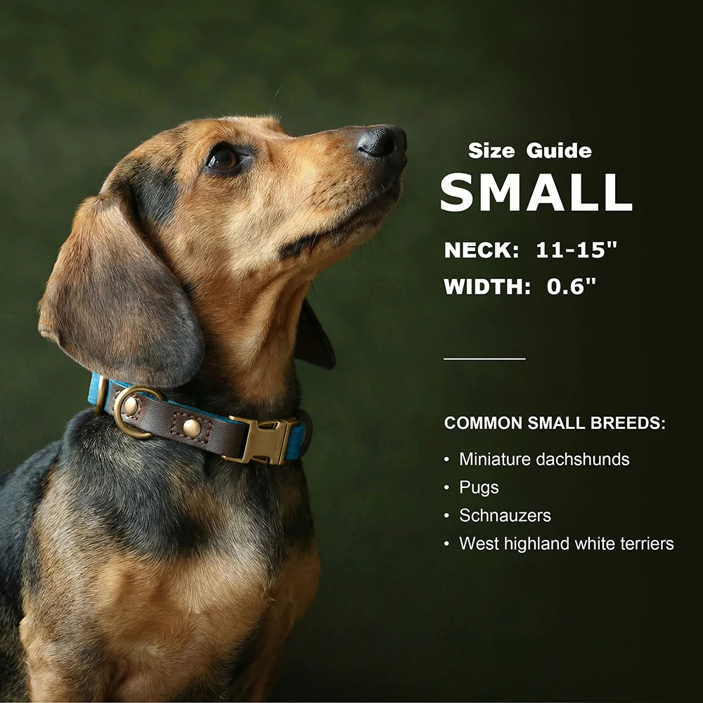 Personalized PU Leather Dog Collar