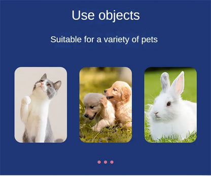 Pet Cleaning Wipes 80 Count – No-Rinse Deodorizing Grooming Wipes for Dogs and Cats