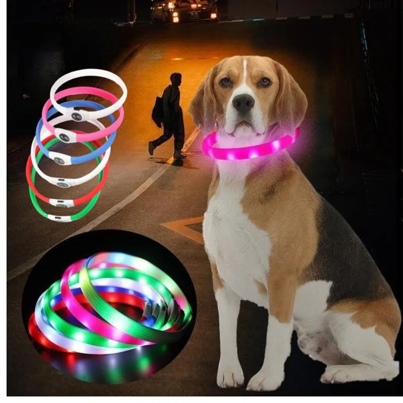 Premium LED Dog Collar – Night Safety, Waterproof & Glowing