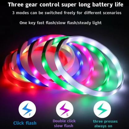 Premium LED Dog Collar – Night Safety, Waterproof & Glowing