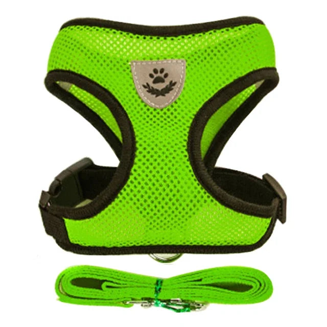 Pet Pulse Point® Instantly Stop Leash Pulling Even If Your Dog Never Listens!