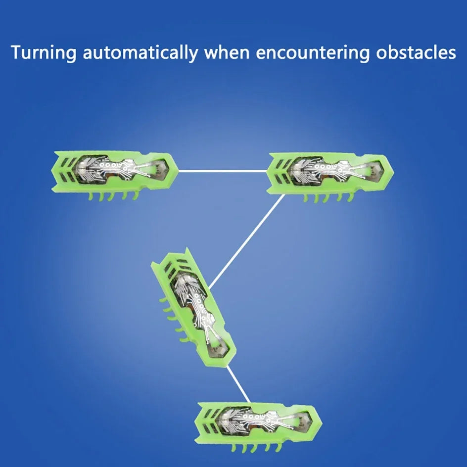 Automatic Electric Bug Cat Toy – Interactive Moving Beetle Pet Toy