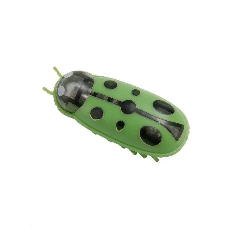 Automatic Electric Bug Cat Toy – Interactive Moving Beetle Pet Toy