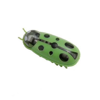 Automatic Electric Bug Cat Toy – Interactive Moving Beetle Pet Toy